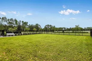 30169 Merilee Pl, Wesley Chapel, FL 33545 - Photo 14