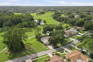 3506 Fairway Forest Dr, Palm Harbor, FL 34685 - Photo 32