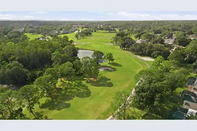 3506 Fairway Forest Drive, Palm Harbor, FL 34685 - Photo 24