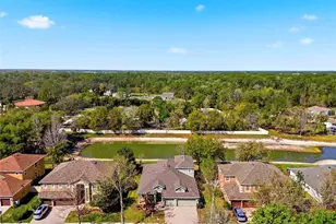 6823 Green Heron Dr, Wesley Chapel, FL 33545 - Photo 58