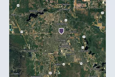 6548 N Bill Terrace, Citrus Springs, FL 34434 - Photo 4