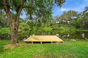 4637 Cabbage Palm Dr, Valrico, FL 33596 - Photo 30