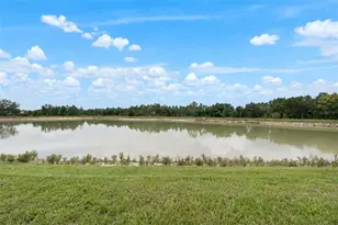 35630 Kinsey Pt, Zephyrhills, FL 33541 - Photo 32