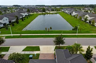 31553 Cannon Rush Dr, San Antonio, FL 33576 - Photo 8