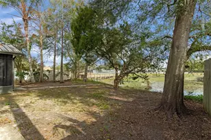 1628 Baker Rd, Lutz, FL 33559 - Photo 38