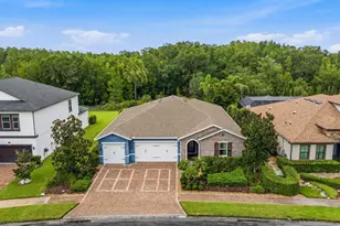 31321 Driscoll Dr, Wesley Chapel, FL 33543 - Photo 1