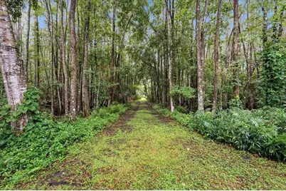 3500 Old Keystone Road, Tarpon Springs, FL 34688 - Photo 52