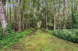 3500 Old Keystone Rd, Tarpon Springs, FL 34688 - Photo 52