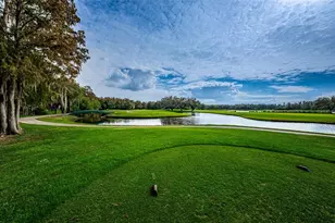 36750 US Hwy 19, Palm Harbor, FL 34683 - Photo 78