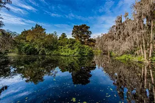 36750 US Hwy 19, Palm Harbor, FL 34683 - Photo 82
