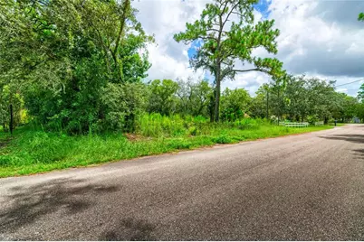 9041 Helene Way, Weeki Wachee, FL 34613 - Photo 6