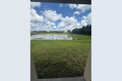 32985 Twin Flower Ave, Wesley Chapel, FL 33545 - Photo 16