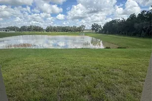 32985 Twin Flower Ave, Wesley Chapel, FL 33545 - Photo 16