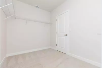 2371 Scenic Park Loop, Wimauma, FL 33598 - Photo 46