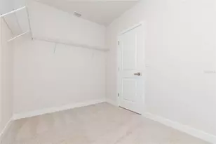 2371 Scenic Park Loop, Wimauma, FL 33598 - Photo 46