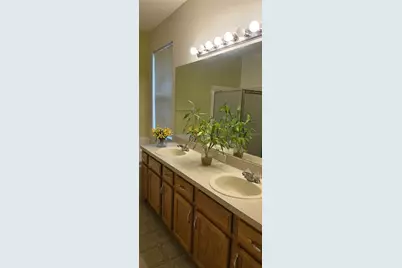 3233 Downan Point Drive, Land O Lakes, FL 34638 - Photo 16