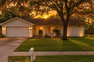 3412 Little Oak St, Valrico, FL 33596 - Photo 1