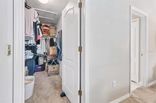 19308 Sandy Springs Cir, Lutz, FL 33558 - Photo 22