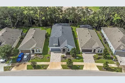 13931 Natures Reserve Drive, Lithia, FL 33547 - Photo 4