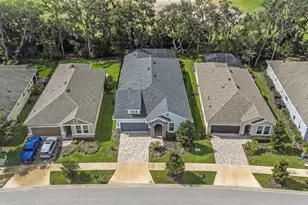 13931 Natures Reserve Dr, Lithia, FL 33547 - Photo 4