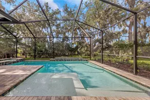 13931 Natures Reserve Dr, Lithia, FL 33547 - Photo 36