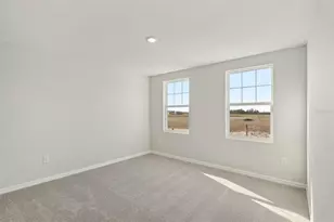 2902 Citrus Grv St, Wimauma, FL 33598 - Photo 16