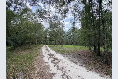 1525 NE 930th Street, Old Town, FL 32680 - Photo 8