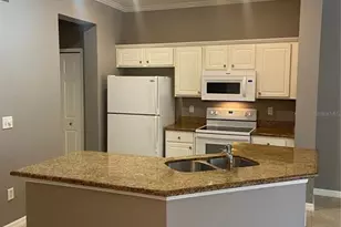 7441 Arlington Grove Cir, Tampa, FL 33625 - Photo 4