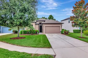 8213 Summer Brook Ct, Land O Lakes, FL 34638 - Photo 1