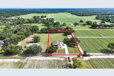 5319 W Trapnell Road, Dover, FL 33527 - Photo 32