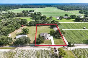 5319 W Trapnell Rd, Dover, FL 33527 - Photo 32