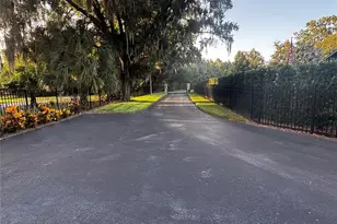 20902 Ragan Ln, Land O Lakes, FL 34638 - Photo 4