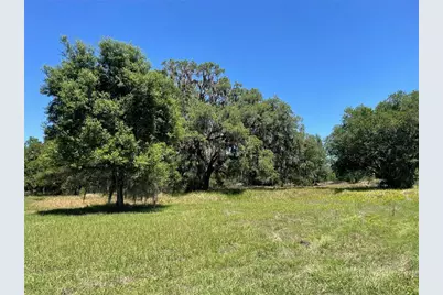 0 Wise Owl Road, Brooksville, FL 34602 - Photo 4