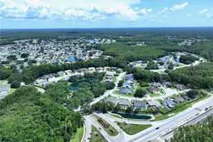 4828 Wessex Way, Land O Lakes, FL 34639 - Photo 34