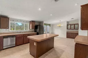 13317 Moon Rd, Brooksville, FL 34613 - Photo 6