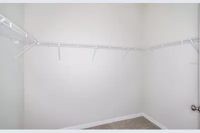 31702 Oyster Trellis Lane, Wesley Chapel, FL 33545 - Photo 6