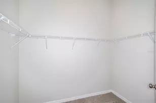 31702 Oyster Trellis Ln, Wesley Chapel, FL 33545 - Photo 6