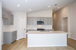 31702 Oyster Trellis Ln, Wesley Chapel, FL 33545 - Photo 8