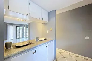 7907 Sabal Dr, Temple Terrace, FL 33637 - Photo 16