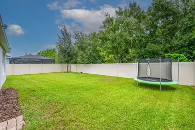 17651 Bright Wheat Drive, Lithia, FL 33547 - Photo 28