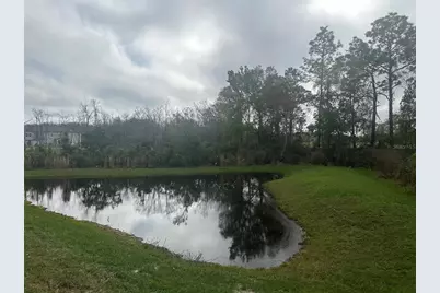 17664 Nectar Flume Drive, Land O Lakes, FL 34638 - Photo 10