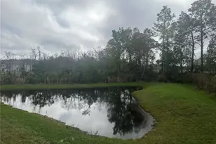 17664 Nectar Flume Dr, Land O Lakes, FL 34638 - Photo 10