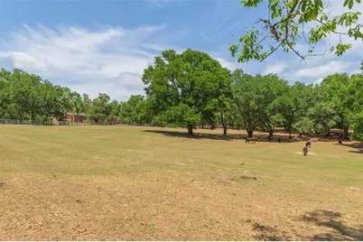34211 Blanton Road, Dade City, FL 33523 - Photo 90