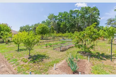 34211 Blanton Road, Dade City, FL 33523 - Photo 64