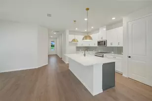 5024 Chapel Row Ave, Apollo Beach, FL 33572 - Photo 4