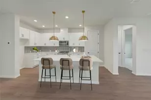 5024 Chapel Row Ave, Apollo Beach, FL 33572 - Photo 2