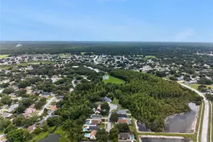 24331 Crosscut Rd, Lutz, FL 33559 - Photo 24