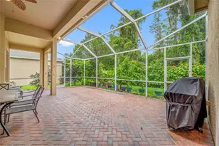 11421 Strathaven Ct, Trinity, FL 34655 - Photo 54