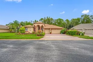 11421 Strathaven Ct, Trinity, FL 34655 - Photo 88