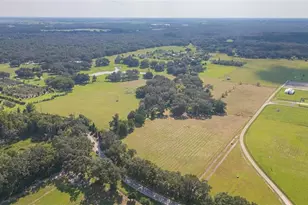 16225 Bellamy Brothers Blvd, Dade City, FL 33525 - Photo 74
